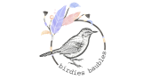 Birdies Baubles